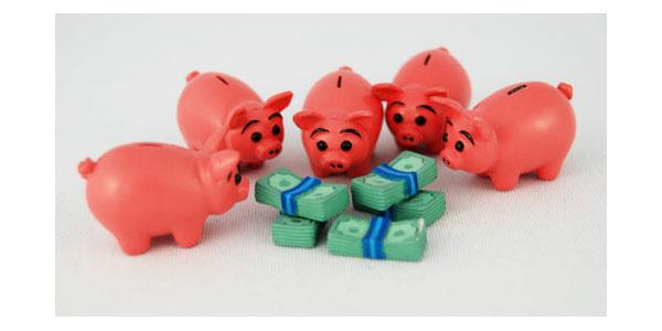 Pigs eating money