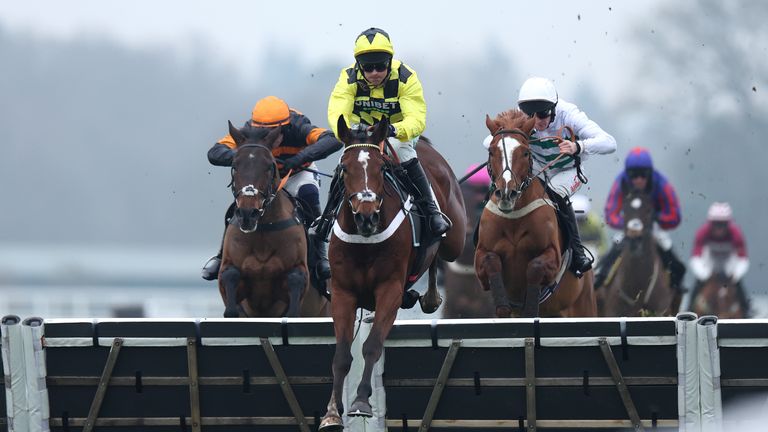 Lulamba strolls to victory at Ascot on British racecourse debut